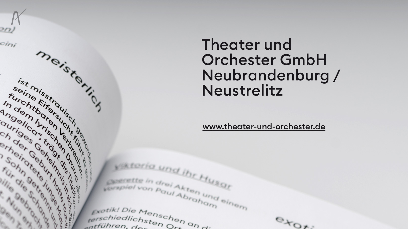 theater und orchester gmbh neubrandenburg neustrelitz